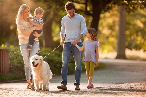 Young family taking their dog for a walk during spring day at the ...