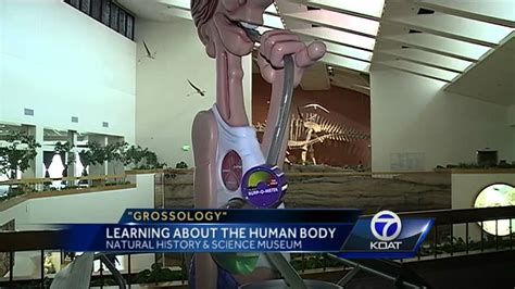 'Grossology' exhibit to open at local museum - YouTube