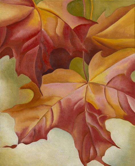 Fall Maple Leaves | RISD Museum