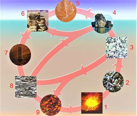 Ciclo De Las Rocas Ciclo De Las Rocas Rocas Sedimentarias Rocas | Porn Sex Picture