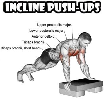 How to Do Perfect Pushup: Decline & Incline | Exercises Guide