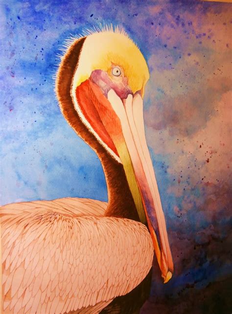 Tom Bose Watercolors: No. 36: Brown Pelican Watercolor