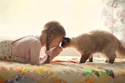 Kids and Cats: 10 Tips to Promote Bonding | I Love My Dog So Much