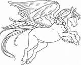 Pegasus Coloring Pages For Adults At GetDrawings  Free Download sketch template