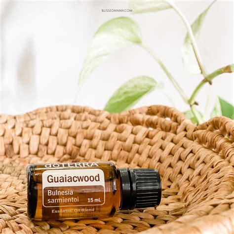 Guaiacwood Essential Oil Benefits, Uses, & Sourcing with doTERRA