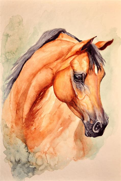 Arabian - watercolour by NutLu on DeviantArt | Horse painting ...