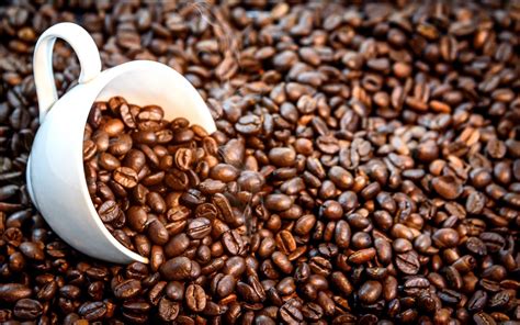 Coffee Bean Wallpapers - Top Free Coffee Bean Backgrounds - WallpaperAccess