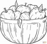 Basket With Apples coloring Page  Free Printable Coloring Pages sketch template
