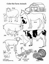 Farm Animals Coloring Page Vertical sketch template