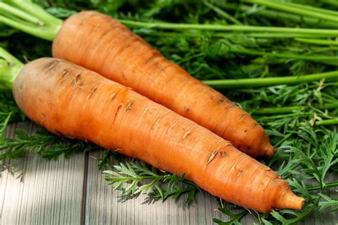 Young fresh carrots with green leaves - Creative Commons Bilder