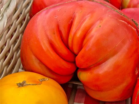 Heirloom Tomato | ellenm1 | Flickr