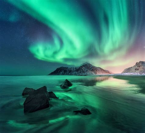 Aurora. Northern lights in Lofoten islands, Norway. Sky with polar ...