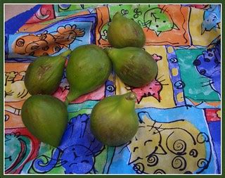 First figs | Our first harvest! | Monica Arellano-Ongpin | Flickr