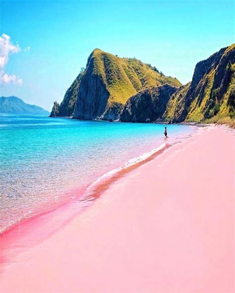 Pink Beach Komodo Indonesia