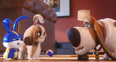 Tiffany Haddish’s Daisy Searches for a Hero in Latest ‘Secret Life of Pets 2’ Trailer ...