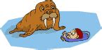 Walruses at Animated-Gifs.org