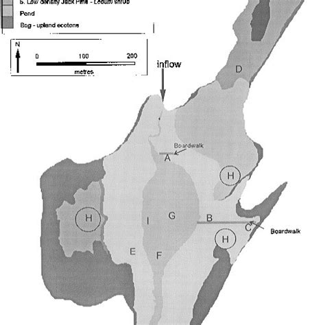 Map of experimental wetland, showing location of six vegetation ...