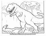 Free Printable Dinosaur Coloring Pages For Kids sketch template