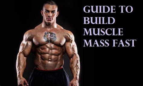 Muscle Palace: The Bodybuilding Guide to Build Muscle Mass Fast