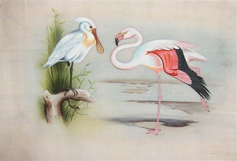 Birds Watercolor Painting on Silk Fabric | Exotic India Art