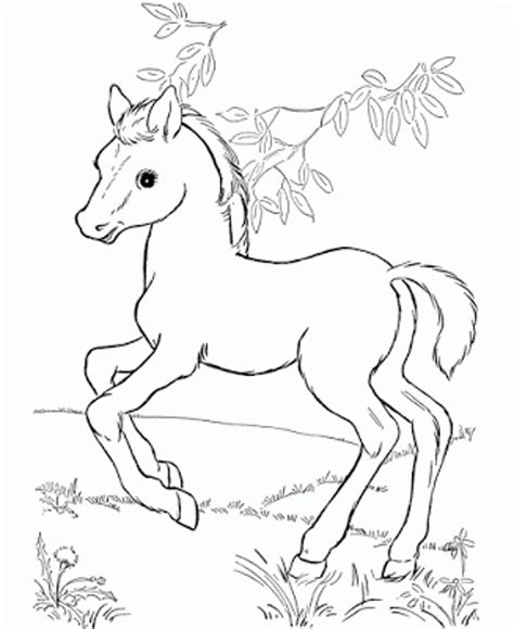 Disney Horse Coloring Pages at GetColorings.com | Free printable ...