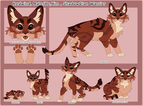 Warriors Reference Sheet Base Feline & Cat Lineart Base - Etsy Finland