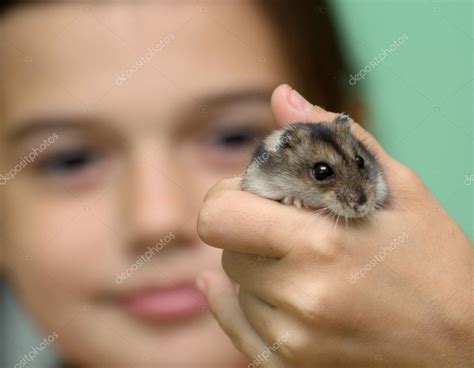 Hamster in child — Stock Photo © yogo #12247382