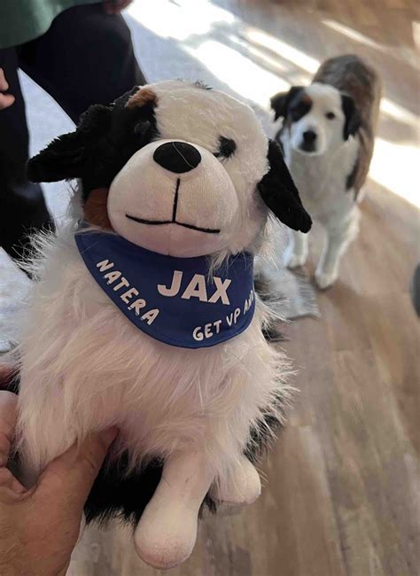 Jax 4 Hope - Little Jax Plush Dog | Living Hope Cancer Foundation