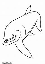 Blue Whale Friendly coloring page sketch template