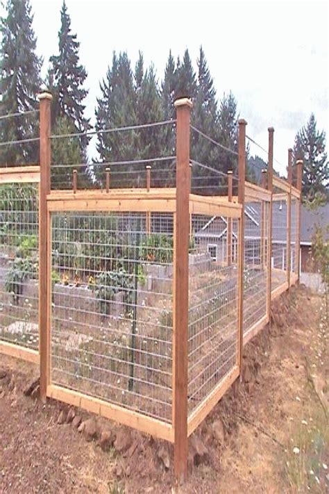Fencing Using Cattle Panels