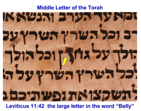 Jewish Clipart photographs of Scrolls | gracetranscendingthetorah.com