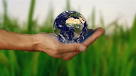 Hands holding small globe of earth image - Free stock photo - Public Domain photo - CC0 Images