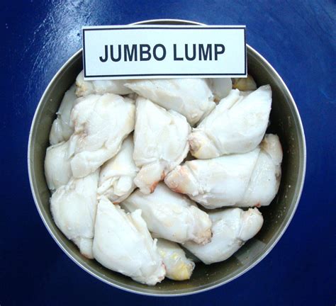 Jumbo Crab Suppliers - Frozen Mud Crab Supplier, Crab Meat Seller, Crab Canning Supplier, Jumbo ...