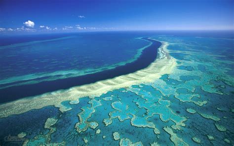 Great Barrier Reef, The Largest Coral Reef Tourism in The World - Traveldigg.com