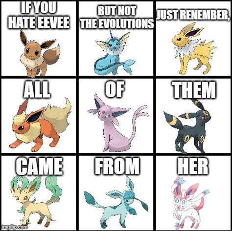 Without Eevee, Where would the Eeveelutions be? - Imgflip