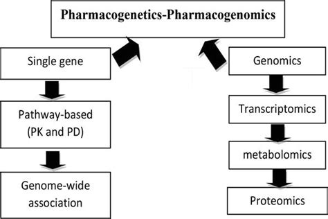 Pharmacogenomics: Overview, Applications, and Recent Developments | IntechOpen