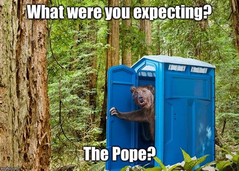 Are bears Catholic? - Imgflip