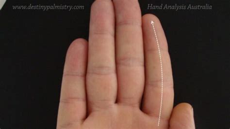 Curved Index Finger Meaning in Palmistry - Destiny Palmistry Home