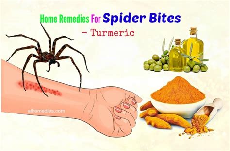 Symptoms & 24 Home Remedies For Spider Bites Itching On Face & Arm