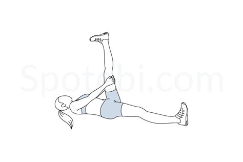 Hamstring Stretch | Illustrated Exercise Guide