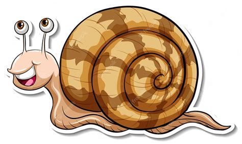 Snail clipart. Free download transparent .PNG Clipart Library - Clip Art Library