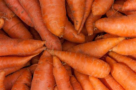 Free Images : cart, food, produce, vegetable, fresh, agriculture, carrot, farmers market, farmer ...