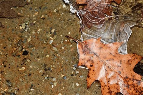 Frozen on the Lake 1 Photograph by C Sev Photography | Fine Art America