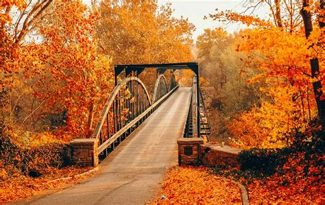 Fall in Kentucky: 14 Cozy Things to Do this Autumn - Let's Go Louisville