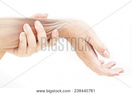 Forearm Muscle Injury Image & Photo (Free Trial) | Bigstock
