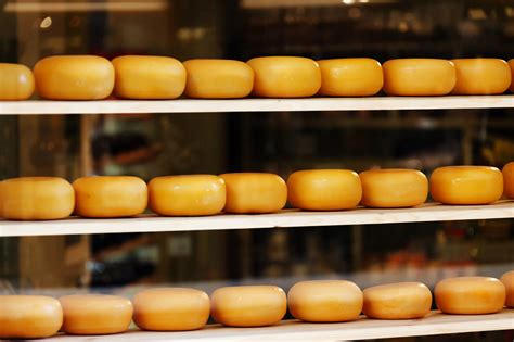 Cheese On Shelves Free Stock Photo - Public Domain Pictures