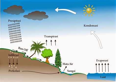 Geography Is Easy : Siklus Hidrologi