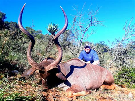 Kudu Hunt South Africa | Hunting