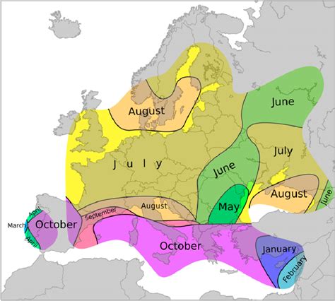 Tornado Alley Map - Janio-Cesar