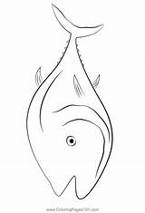 Tuna Fish Coloring Page For Kids  Free Printable Pages sketch template